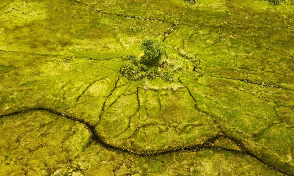 The spider pattern of the Okavango Delta. Image credit; Beverly Joubert for Great Plains Conservation 