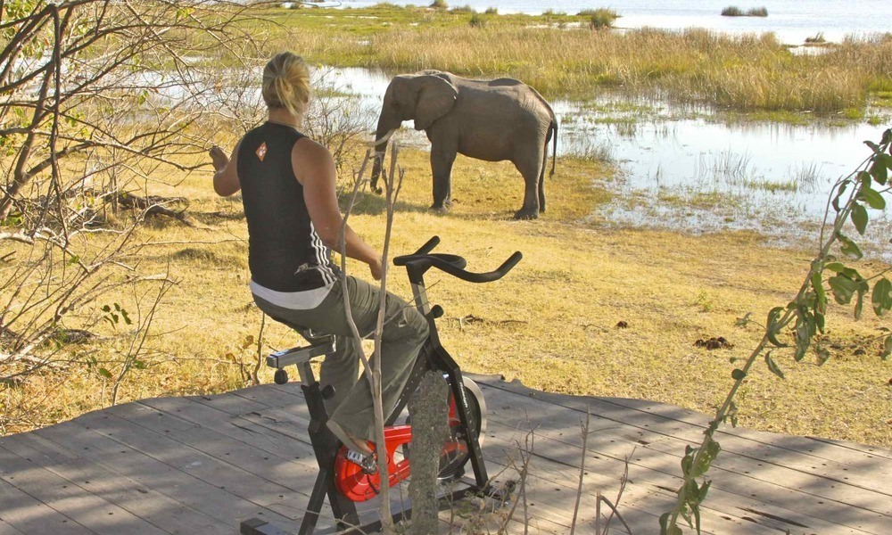 Watch elephants while you work-out, Zarafa Camp, Botswana. Image credit: Great Plains Conservation