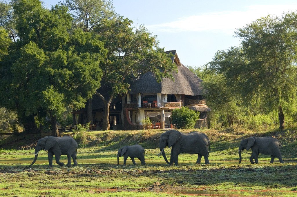 Luangwa Safari House exterior with elephants walking past South Luangwa Zambia