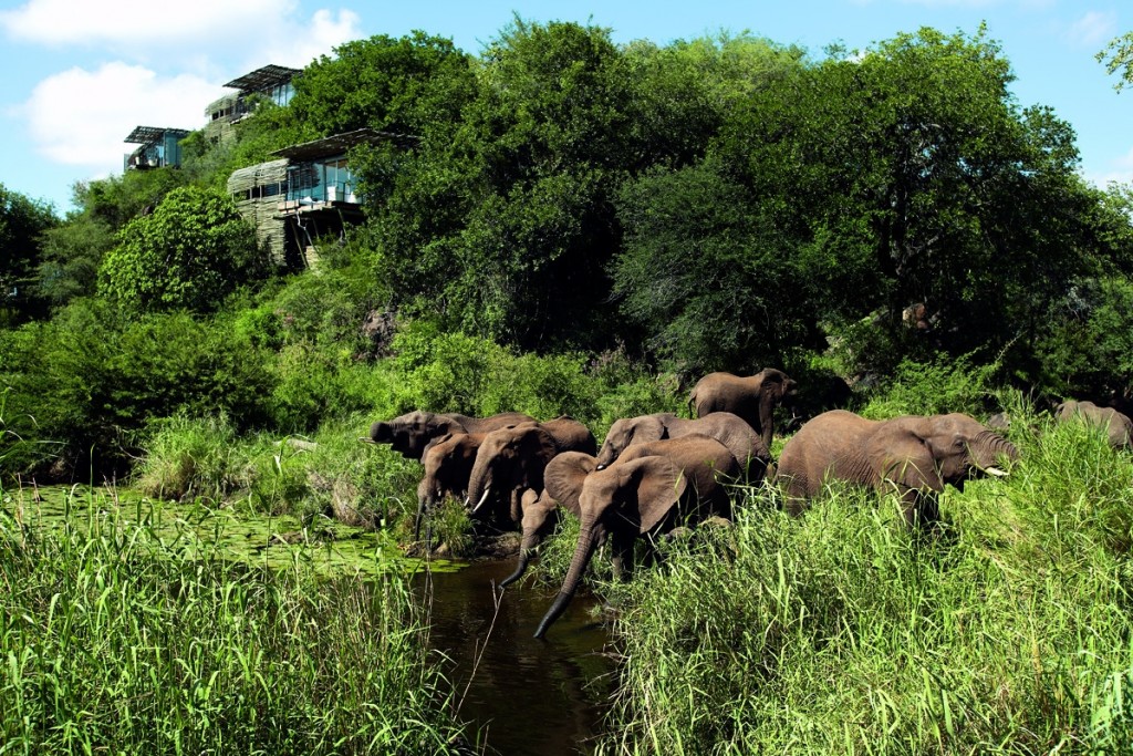 Elephant-at-the-waterhole-Singita-Lebombo-Kruger-South-Africa-1024x683