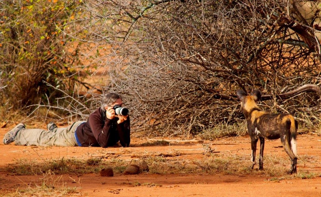 Left-field-photography-photography-Wild-Dog-2-Laikipia-Wilderness-Camp-Laikipia-Kenya-crop-1024x629