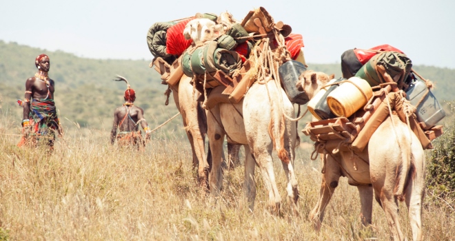 Ol Malo nomad camels Kenyan safari