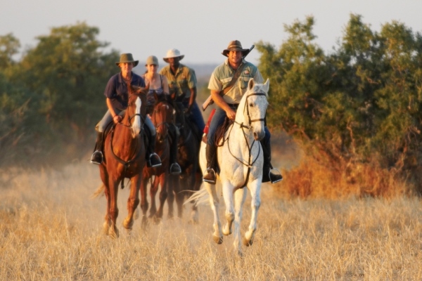 Limpopo Valley Horse Safaris, Mashatu Game Reserve, Botswana