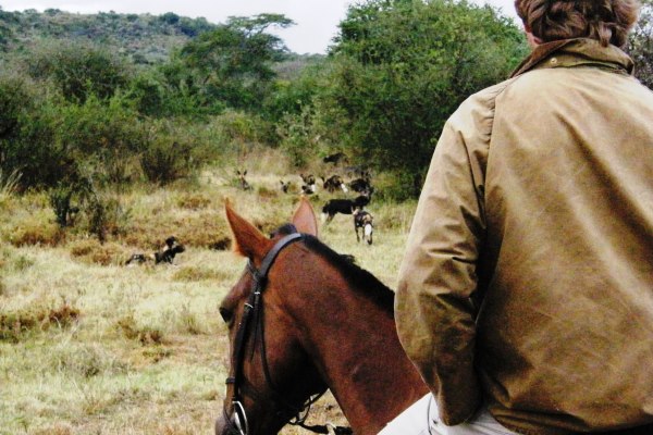 Simon Kenyon Sosian riding safari guide with wild dogs
