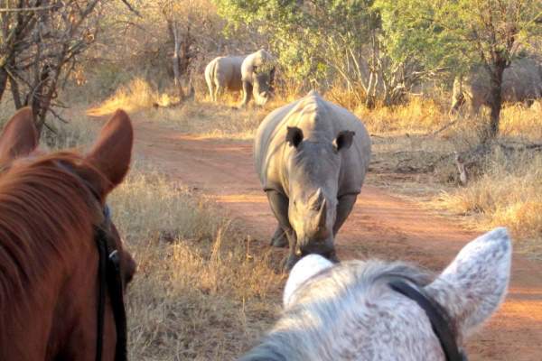 Wait a Little Riding Safaris, South Africa