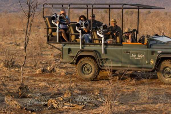 Specialist photographic vehicle at Jacis Lodges with cheetahs