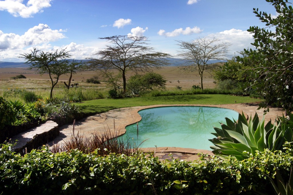 Lewa House Pool Lewa Kenya family safari