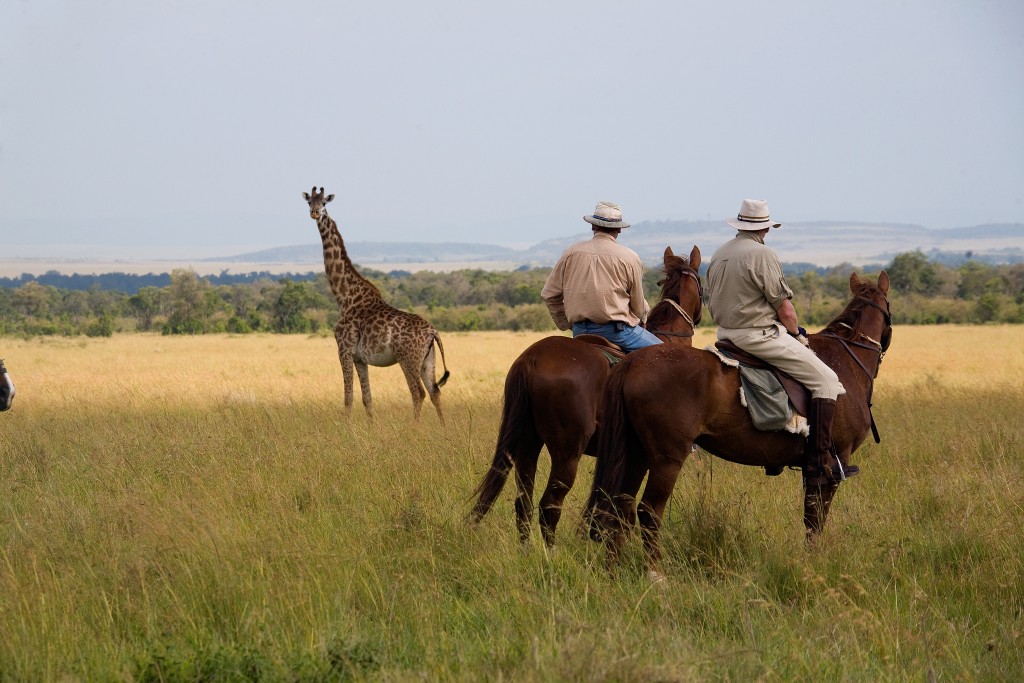 In the saddle wildlife viewing, Offbeat Safaris