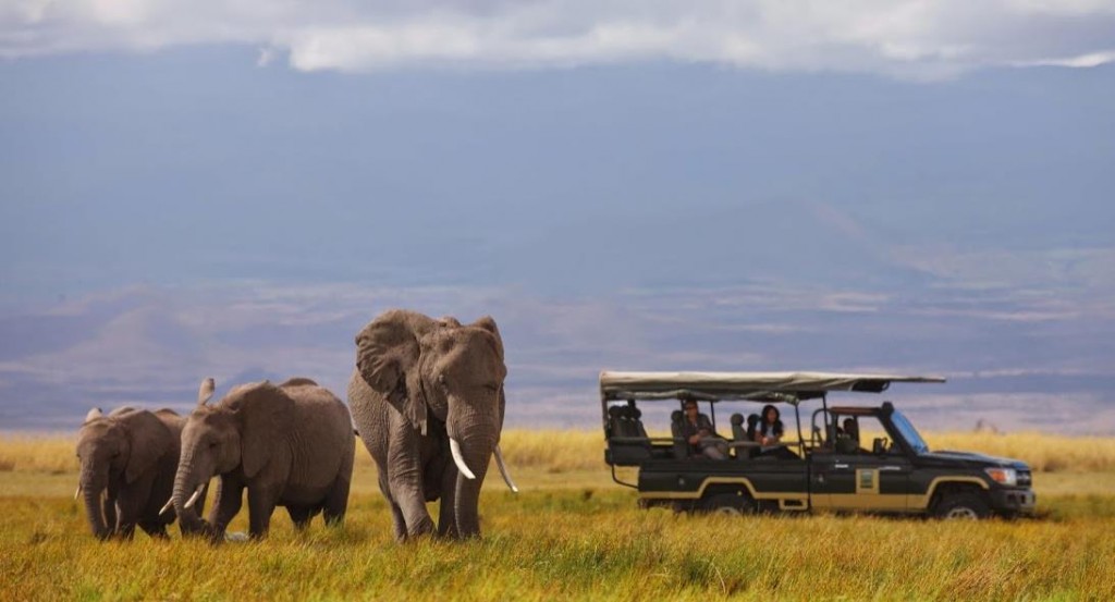 Tortilis Camp Amboseli elephants Kenya 