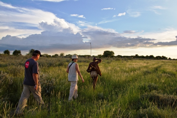 Kalahari Plains - Walking Culture - Caroline Culbert
