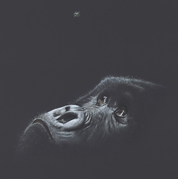 simon_stevenson_art_gorilla_face_bug_looking_up