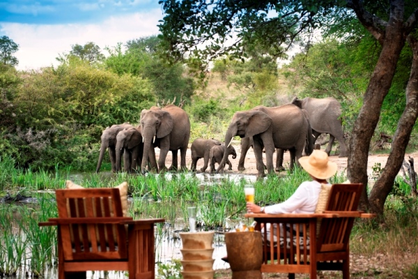 Lady-elephants-tanda-tula-Kruger-SouthAfrica-@tandatula-600-400