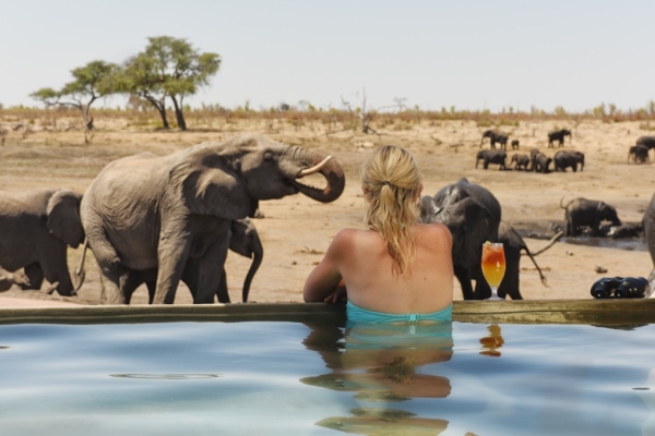 Somalisa-Pool-Elephants-Somalisa Camp Hwange Zimbabwe @africanbushcamps 600 400
