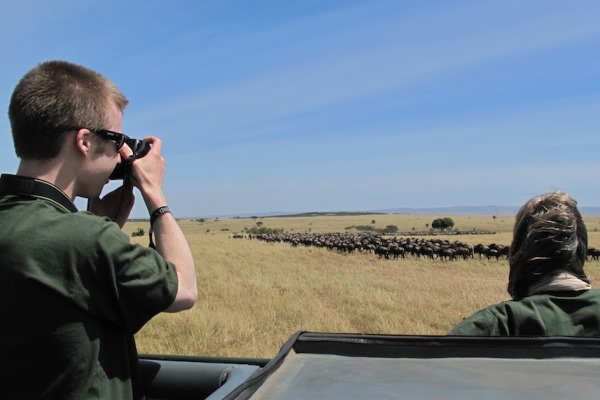 Wildebeest-Game-Drive-Serian-North-Serengeti-Tanzania