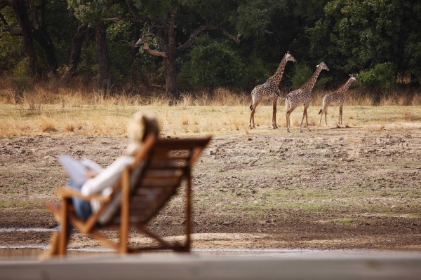 chinzombo-giraffe-lady-deckchair-south-luangwa-zambia-normancarr