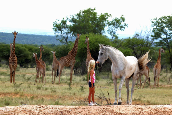  Ants-Nest-riding-girl-grey-horse-giraffe