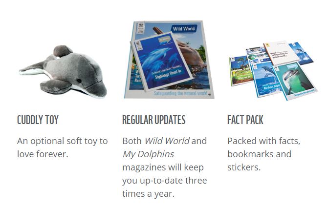 wwf-adopt-an-animal-pack-dolphin-christmas-gift