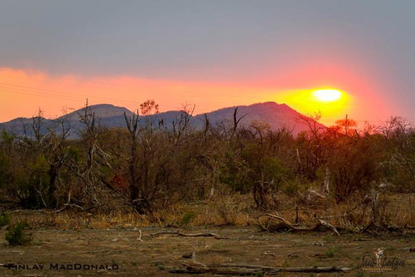 finlay-macdonald-jacis-camp-madikwe-southafrica-sunset