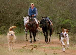 Gordie Church taking the dogs for a run, Safaris Unlimited, Kenya