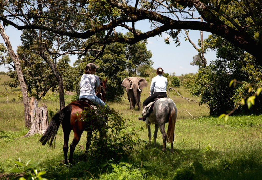 Get up close to wildlife, Offbeat Safaris, Kenya
