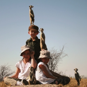 Meerkats using children as lookouts