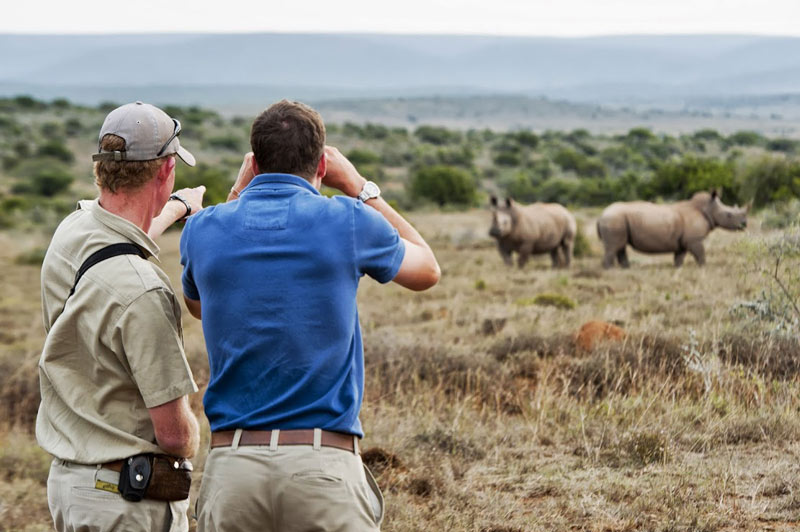 Kwandwe Rhino Watching