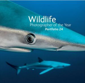 Wildlife Photographer of the Year - Portfolio 24 two sharks underwater