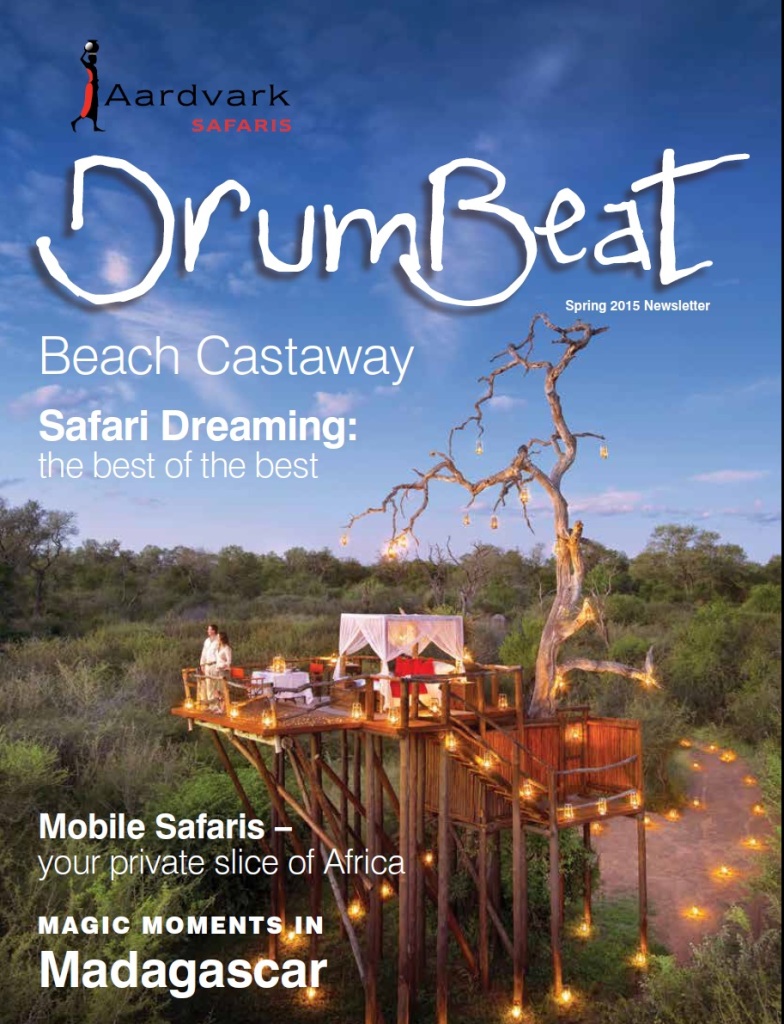 Drumbeat Spring 2015 Romantic candlelit treetop bedroom at Lion Sands 