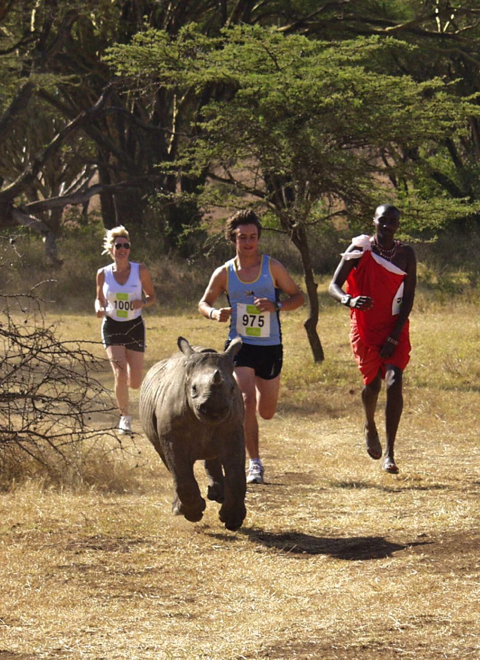 Running with a Baby Rhino