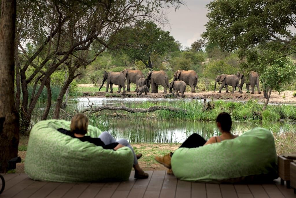 two people watching elephants from bean bags on a deck