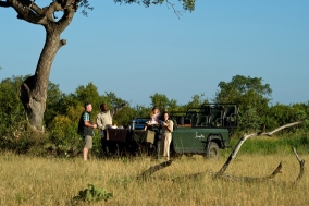 children on a game drive