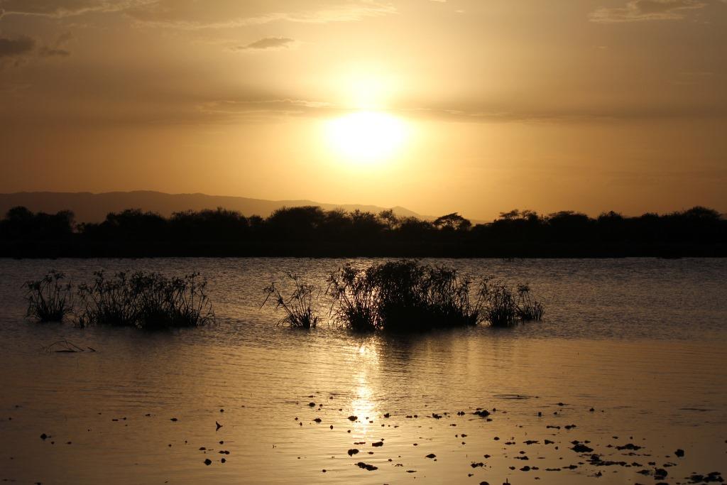 Lake Manyara captured at sunset with clumps of reeds in the mid field