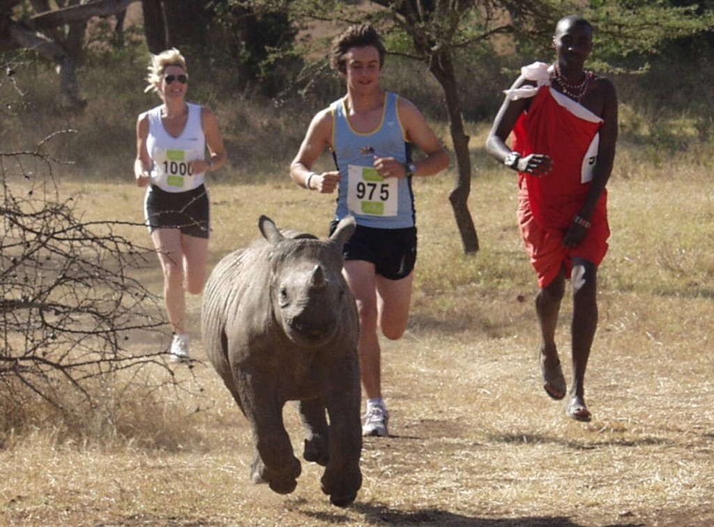 Africa marathon Kenya - runners with baby rhino