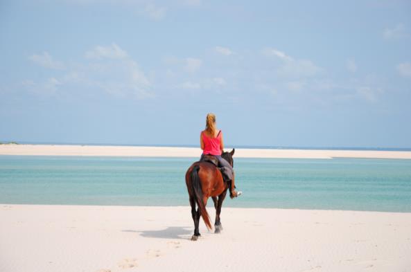 Brutus Mozambique Horse Safaris rider looking out to sea