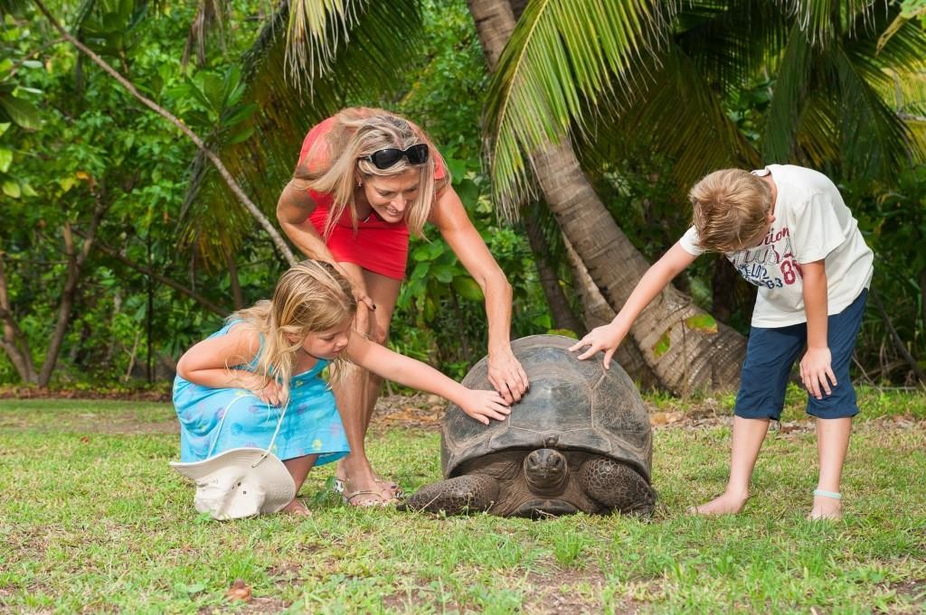 children meeting the local wildlife at North Island Seychelles