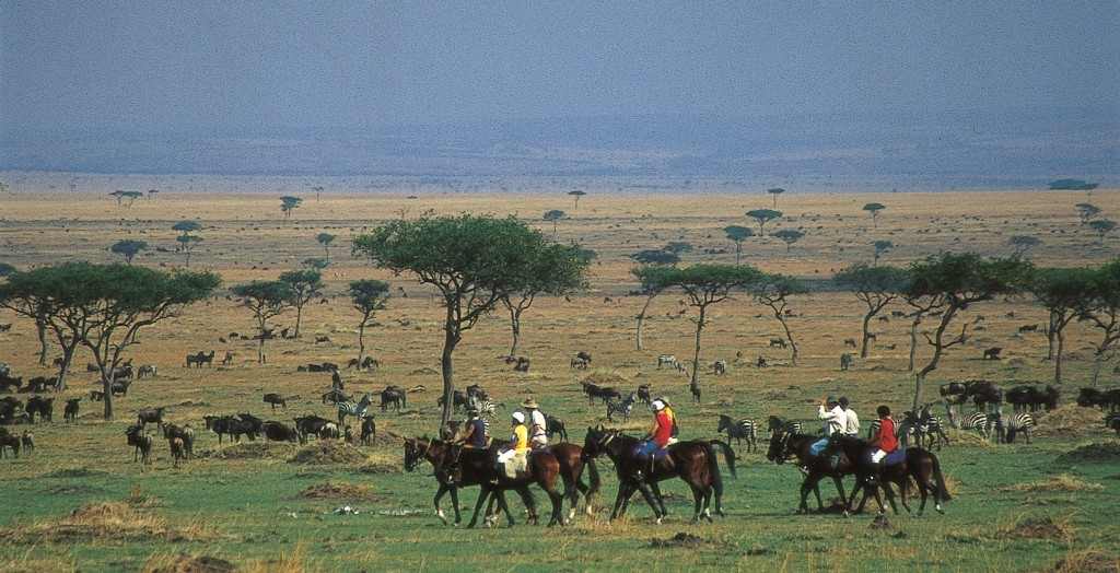 Riding with the wildebeest herd, Offbeat Riding Safaris, Kenya