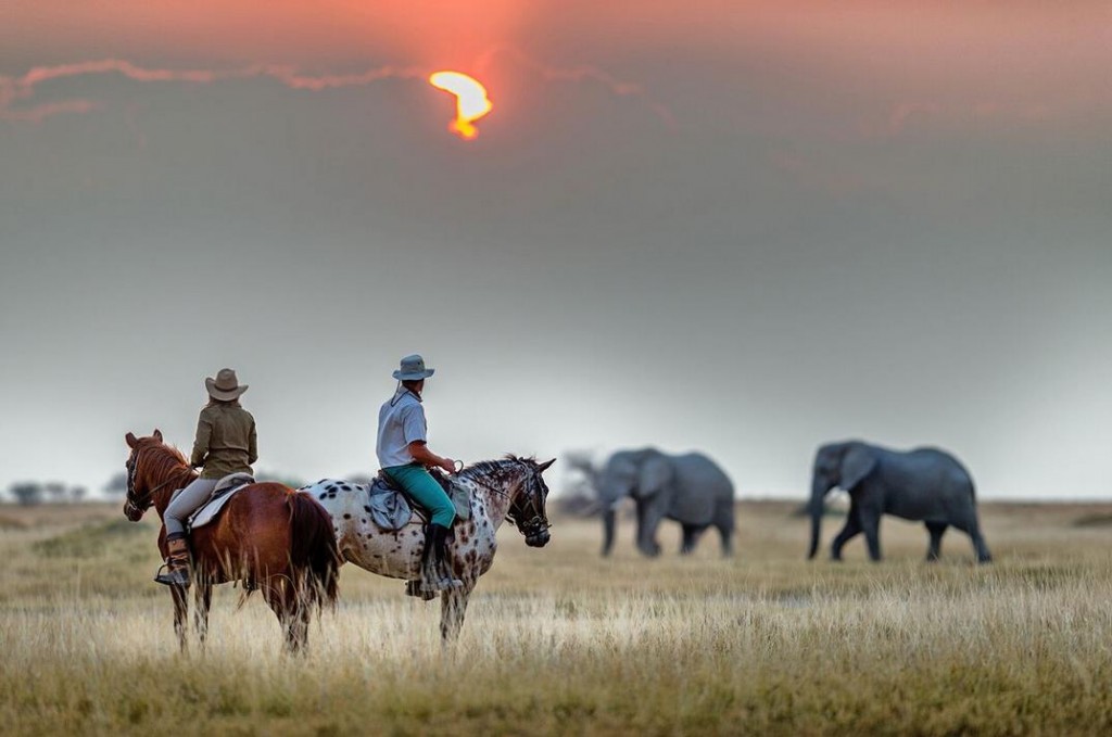 Ride Botswana sunset