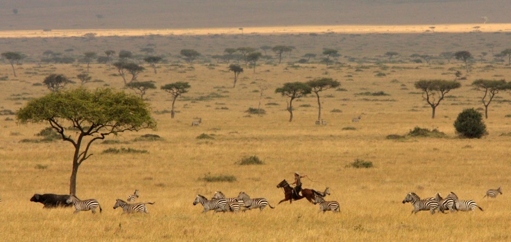 Offbeat Safaris, Kenya rider chasing wildebeest and zebra