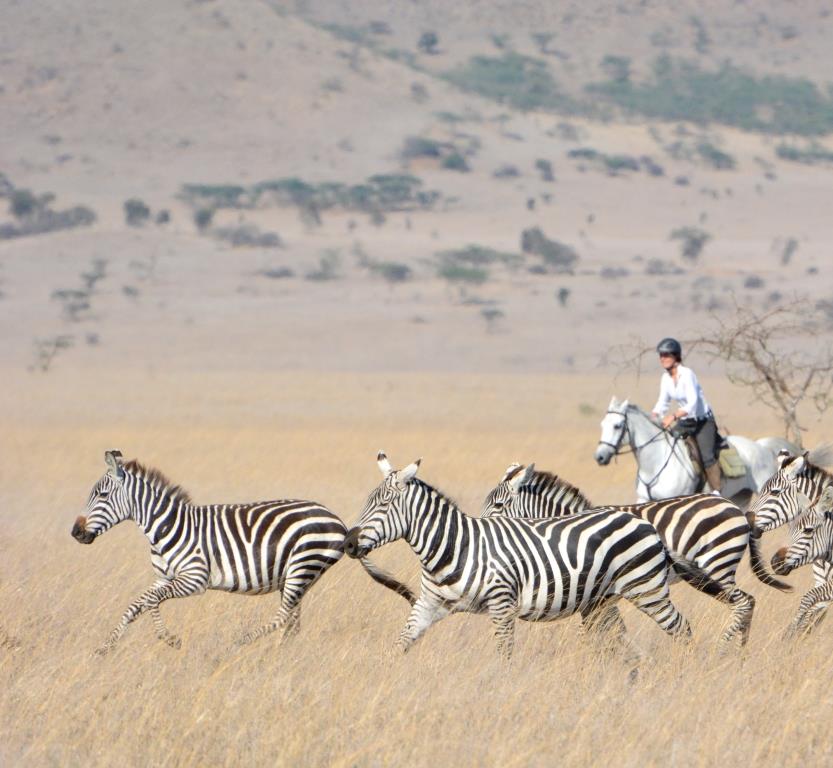 Zulu, riding behind zebra, Ol Donyo, Kenya