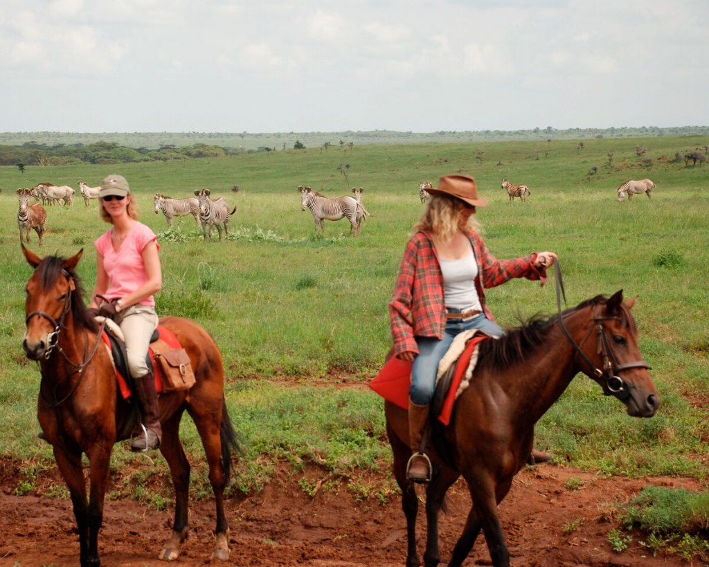 Two ladies riding on a green field with zebra, Borana Riding, Laikipia, Kenya