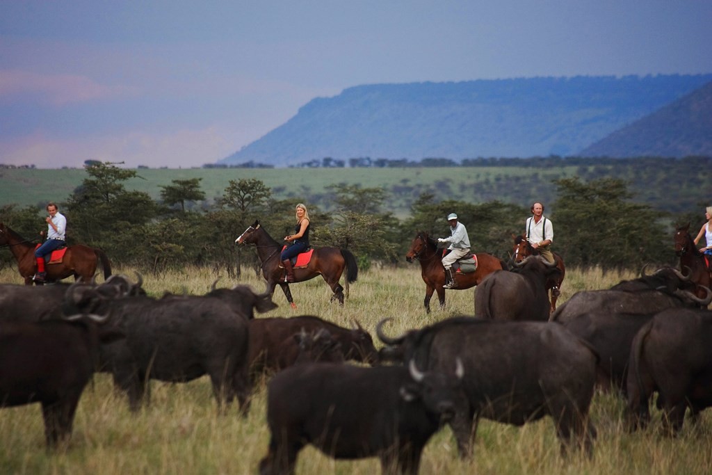 Riders amongst wildebeest, Safaris Unlimited, Kenya