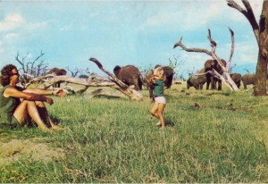 Young Saba with her dad Iain Douglas Hamilton and elephants