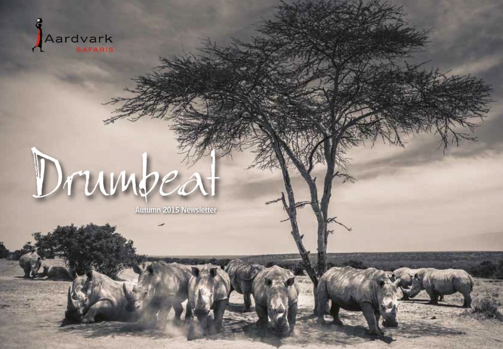 Drumbeat Autumn 2015 featuring a herd of rhinos. Image credit : Solio Lodge, Laikipia Kenya