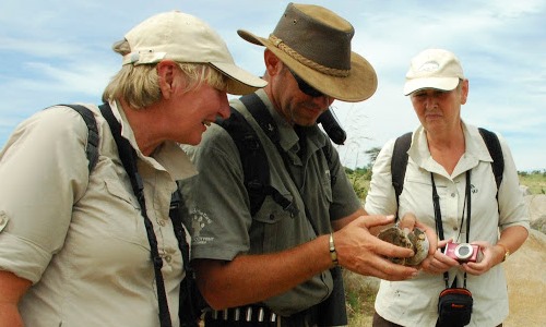 Safari guide on the hunt for wildlife spoor