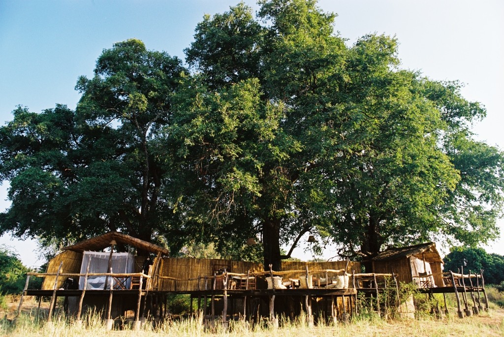 Safari House Jacklelberry Tree House, Flatdogs Camp, South Luangwa, Zambia 