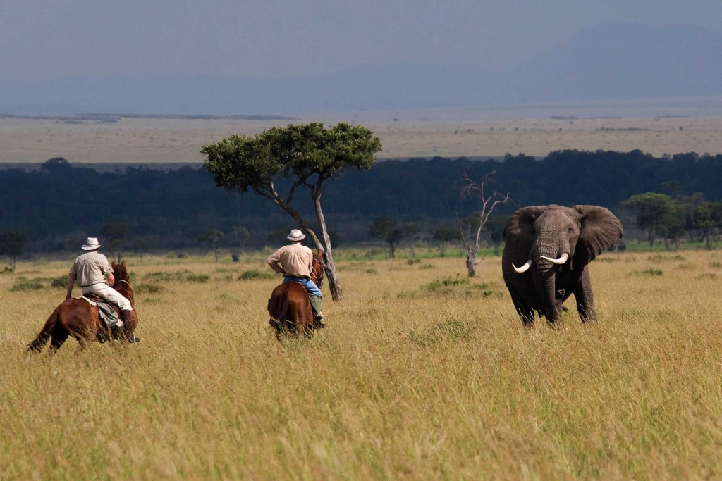 horseback safaris riding with elephants with Offbeat Safaris, Kenya