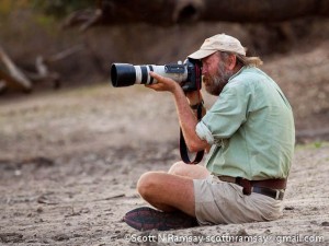 Stretch Ferreira – safari guide