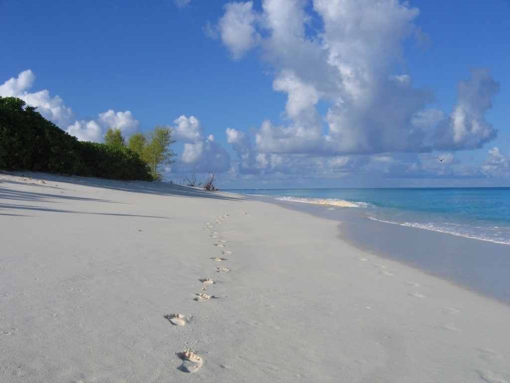 footprints on the beach, Bird Island, Seychelles