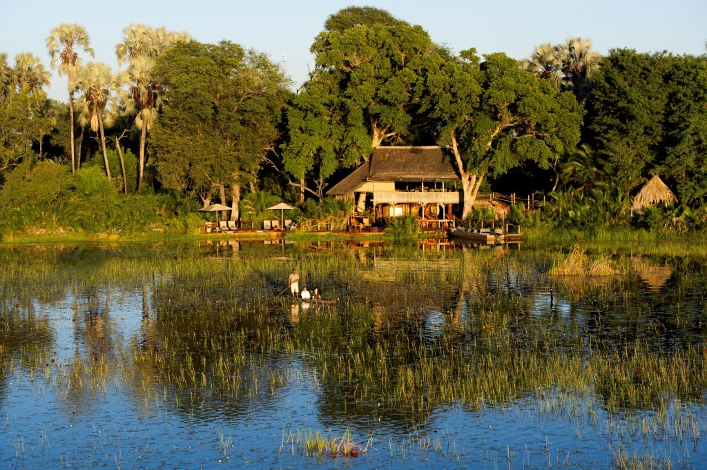 Mokoro canoeing at Jacana Camp, Okavango Delta