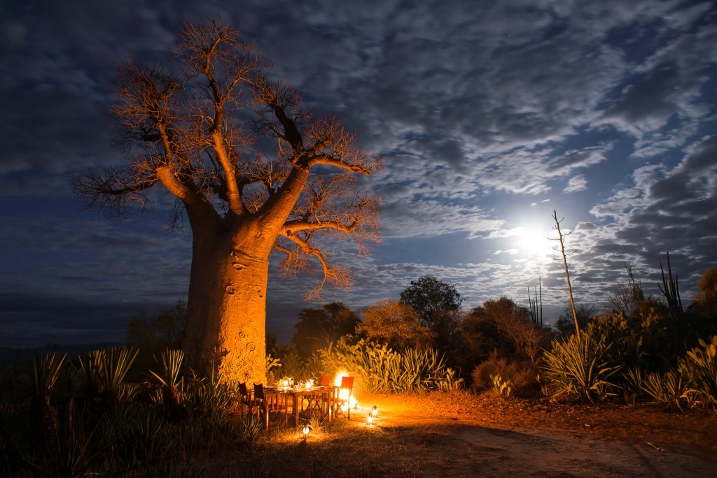 Starlit dinner by a baobab, Mandrare River Camp